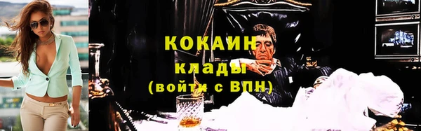 индика Бугульма