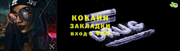 индика Бугульма