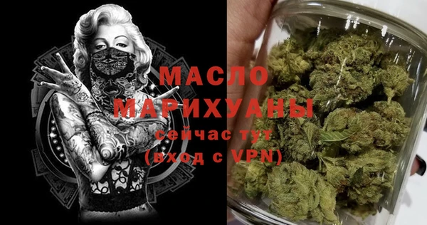молекула духа Богородицк