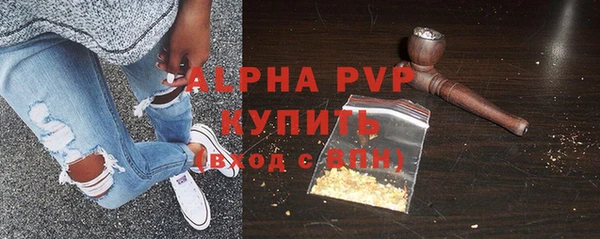 индика Бугульма