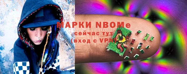 индика Бугульма
