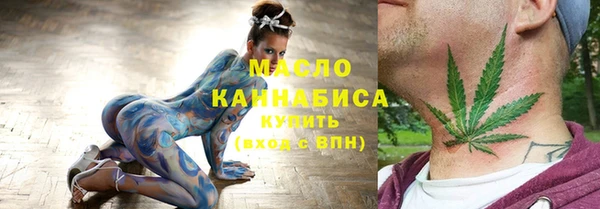 индика Бугульма